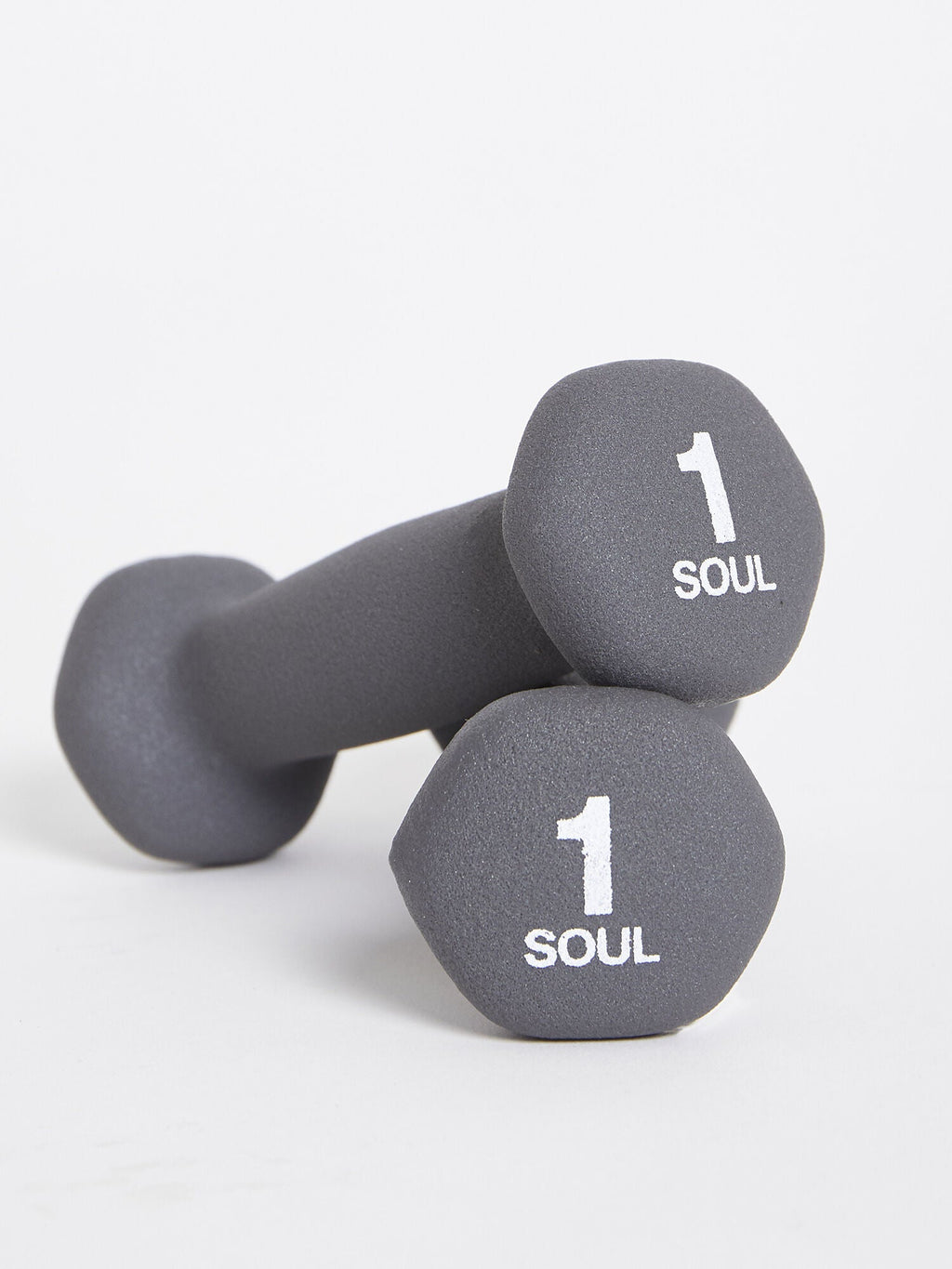 SOULCYCLE 1LB WEIGHTS